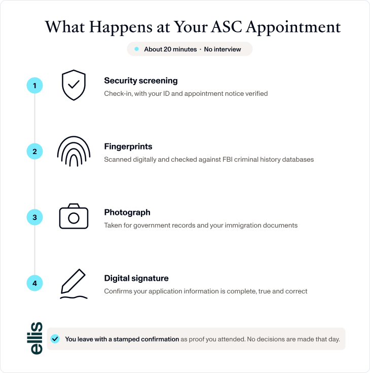 Four steps of a USCIS biometric services appointment at an Application Support Center: security screening, digital fingerprints checked against FBI databases, photograph, and digital signature, with no interview.