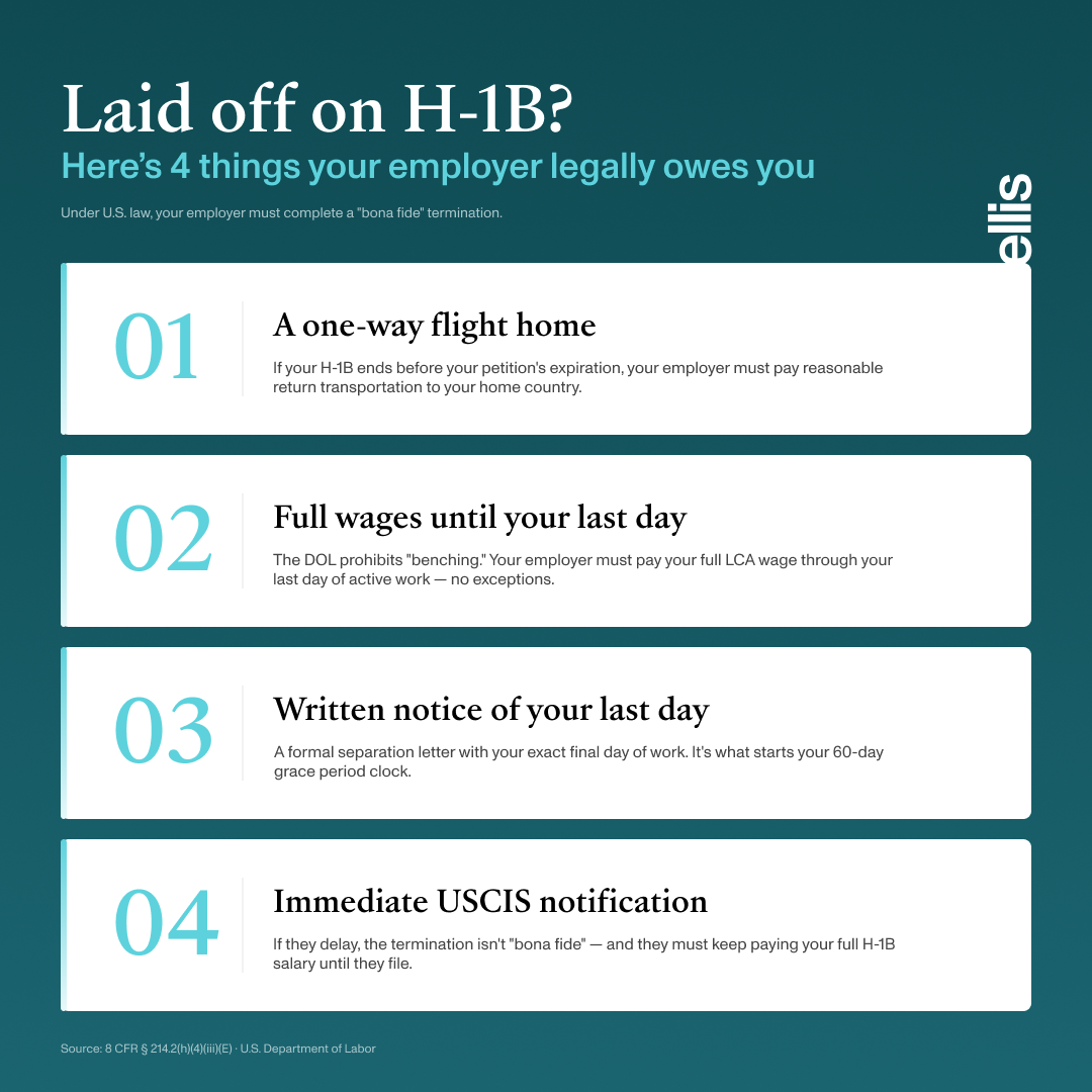 H-1B layoff infographic: 4 legal obligations your employer owes you — return flight home, full wages, written notice, and USCIS notification.
